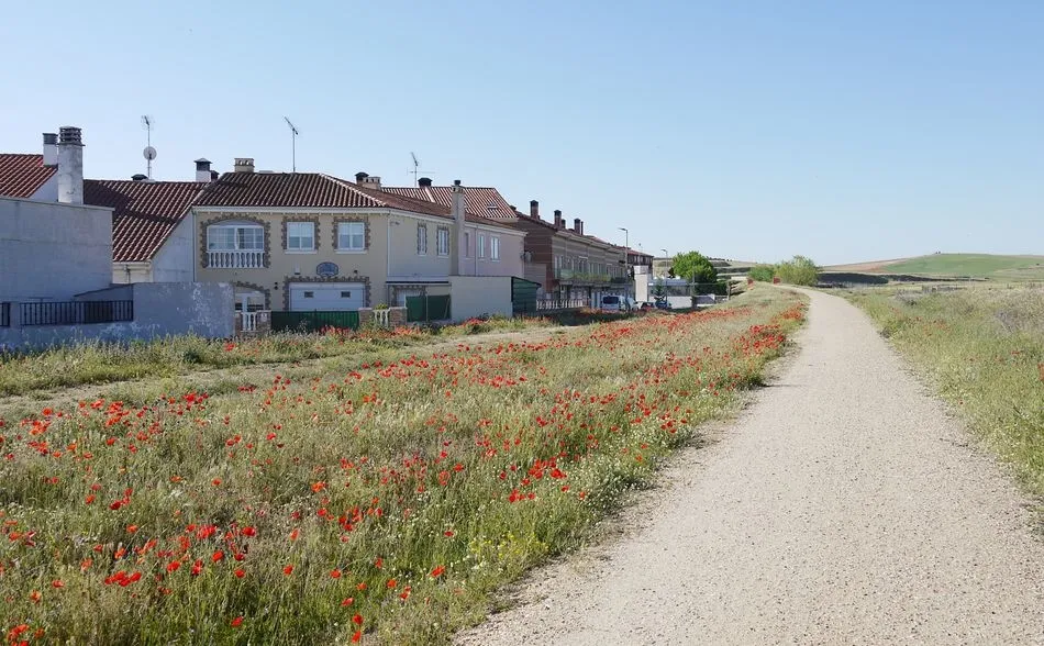 El Ayuntamiento quiere continuar con las acciones desarrolladas en los últimos años para ofrecer a los vecinos del municipio espacios verdes para el ocio y disfrute