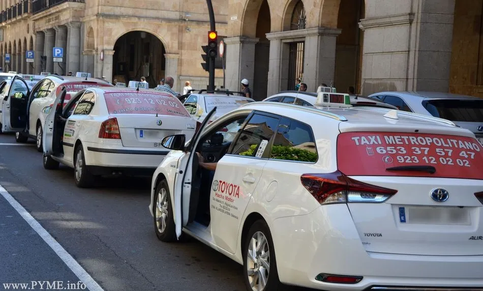 Los taxis debidamente autorizados estarán facultados para la prestación de cualquier servicio