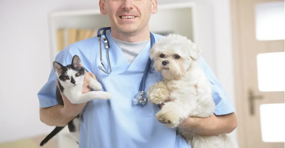 Científicos americanos inician prueba de vacunación contra el cáncer canino  