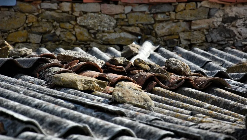 Buena presencia y mediana cultura