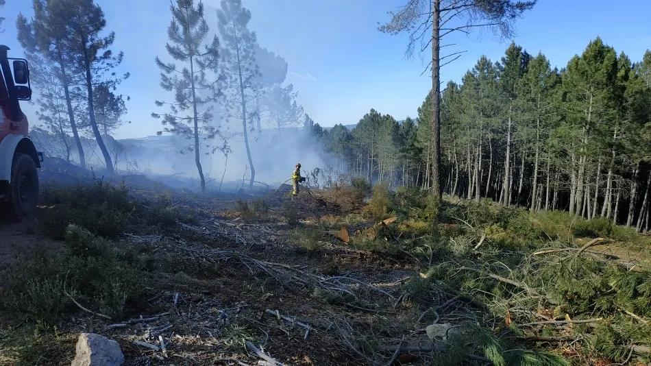 Un incendio calcina media hectárea de bosque en Linares de Riofrío