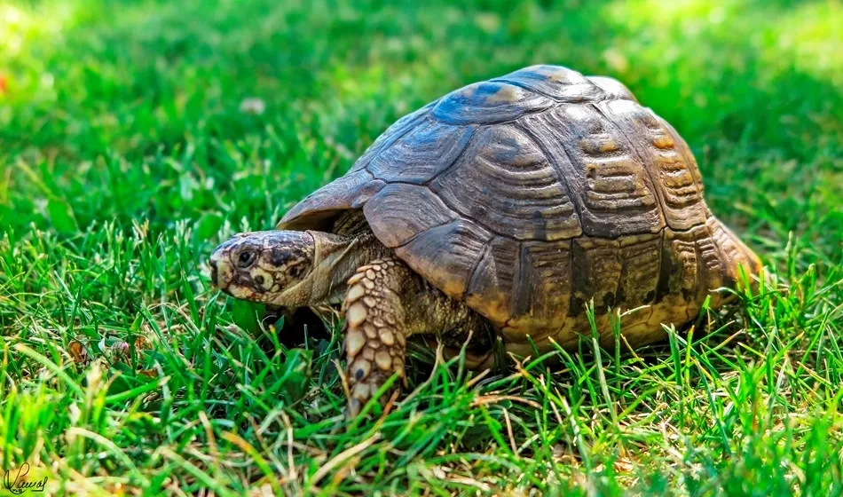 El tiempo es relativo