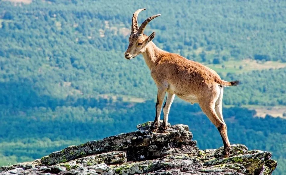 El poder de la libertad