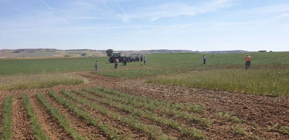 Reciente encuentro de pioneros y tutores de Ecopionet en Salamanca