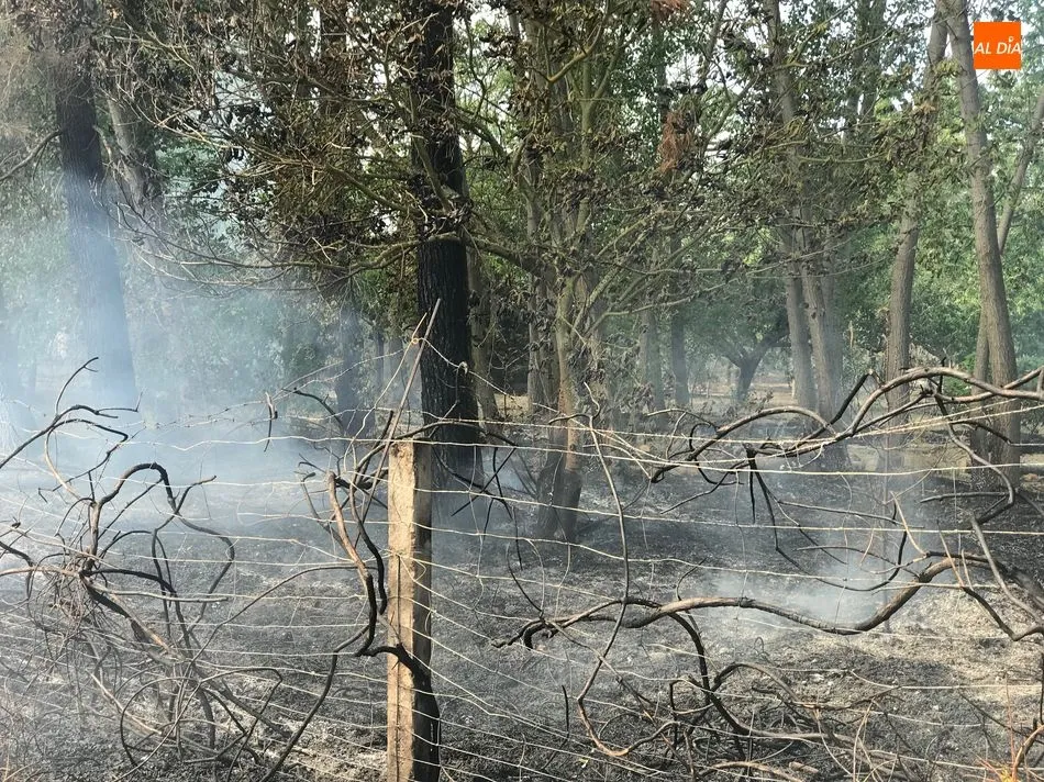 La oleada de incendios azota a Villamayor en una zona próxima al Parque Tecnológico