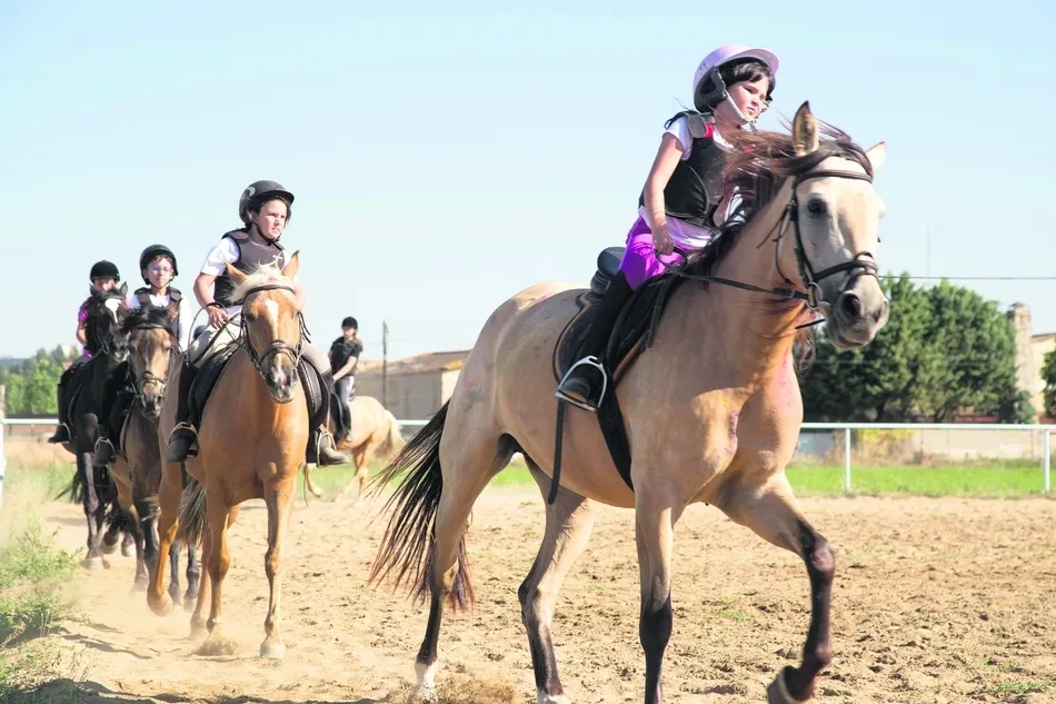 Actividades en el Centro Ecuestre La Aldehuela
