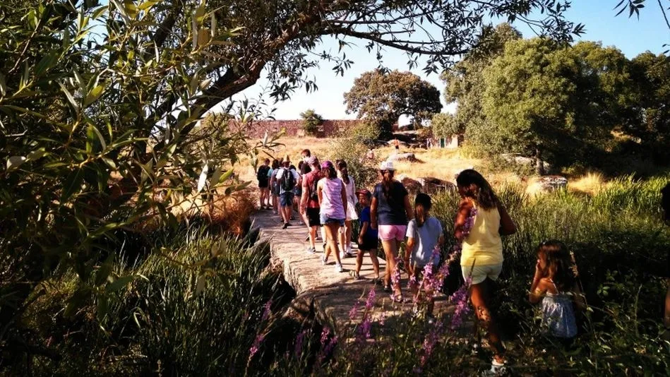 Una de las actividades desarrolladas el año pasado en la provincia