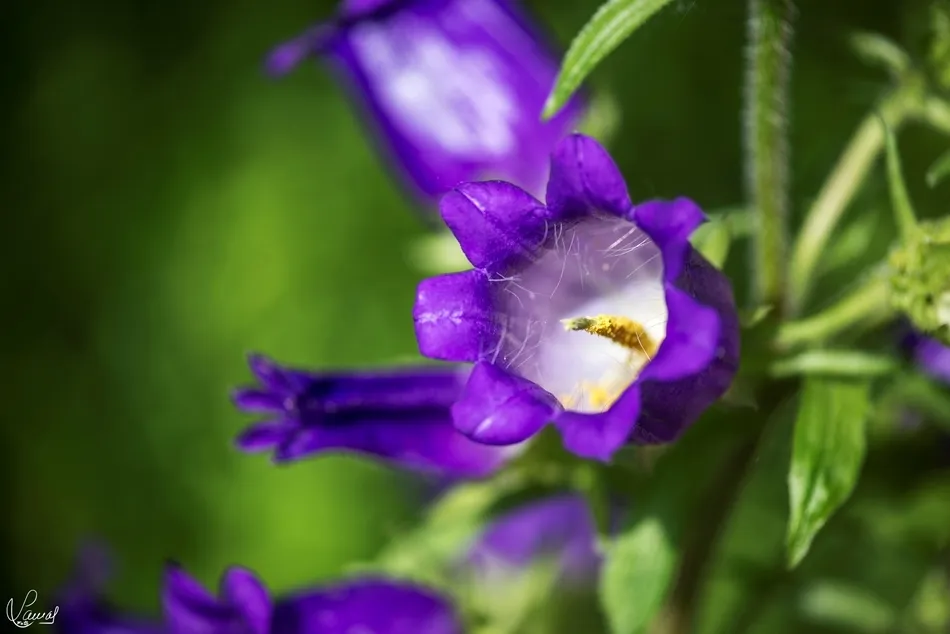 El misterio de la vida