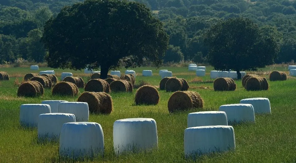 Otro ciclo que concluye