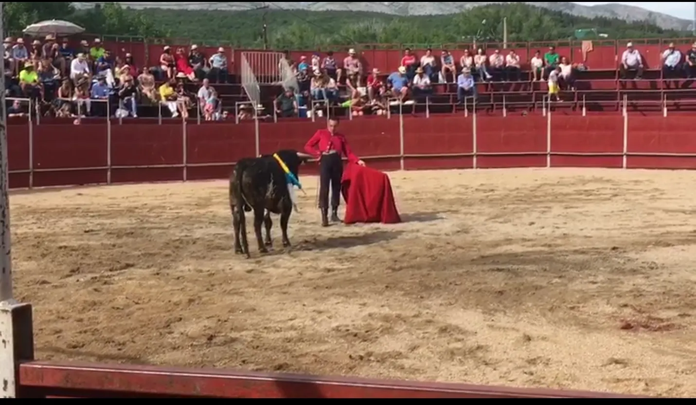 Un momento del festival sin picadores