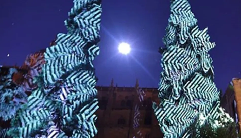 Fragmento de la imagen que lograba el primer premio de este certamen