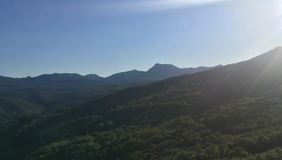 ¡Exuberante Natura!