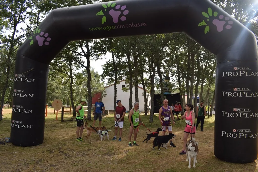 Un momento de la competición