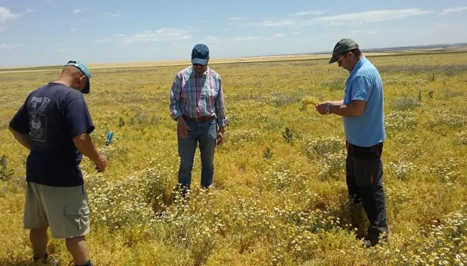Visita de campo en Parada de Rubiales