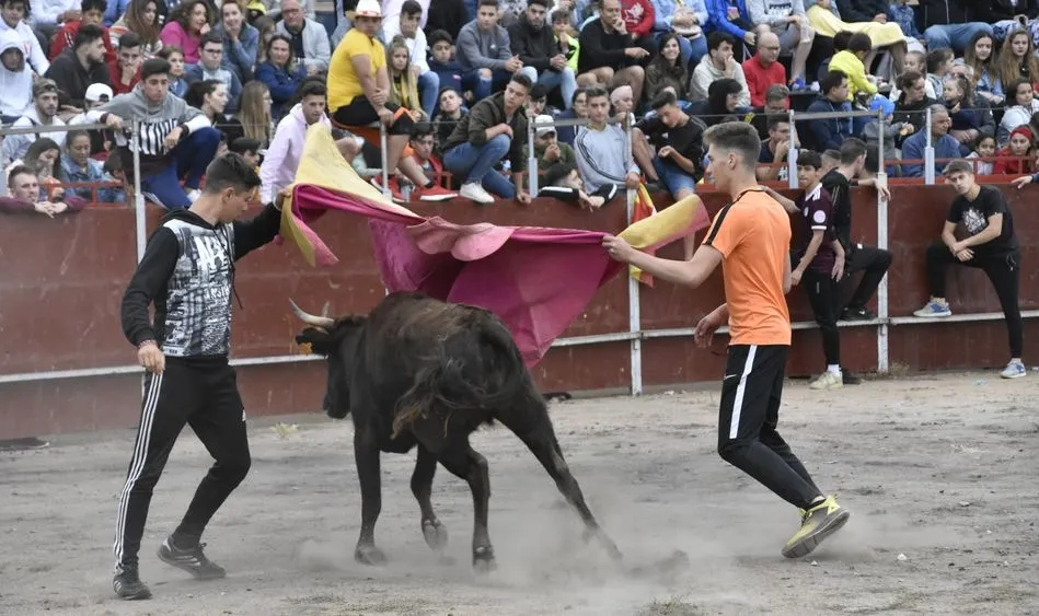 Gran tarde de vaquillas en Villares de la Reina. Foto: Carlos Hernández Castañeda