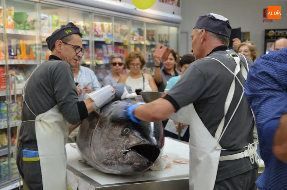 Ronqueo del atún rojo