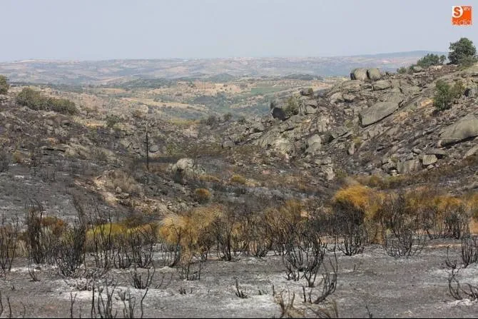 UPA Castilla y León defiende el papel de los agricultores y ganaderos en la prevención de...