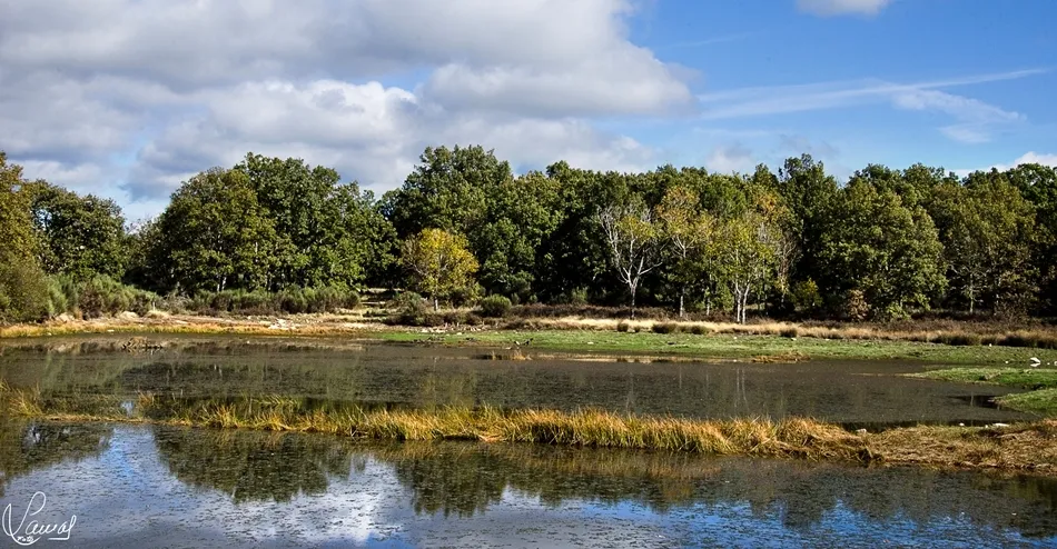 Dependencia ineludible