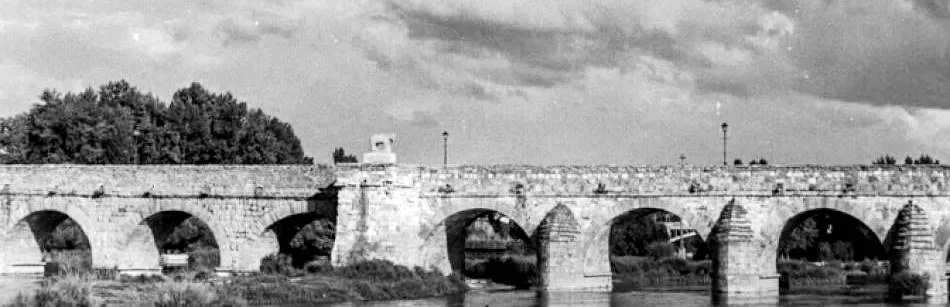 El toro o verraco de Salamanca