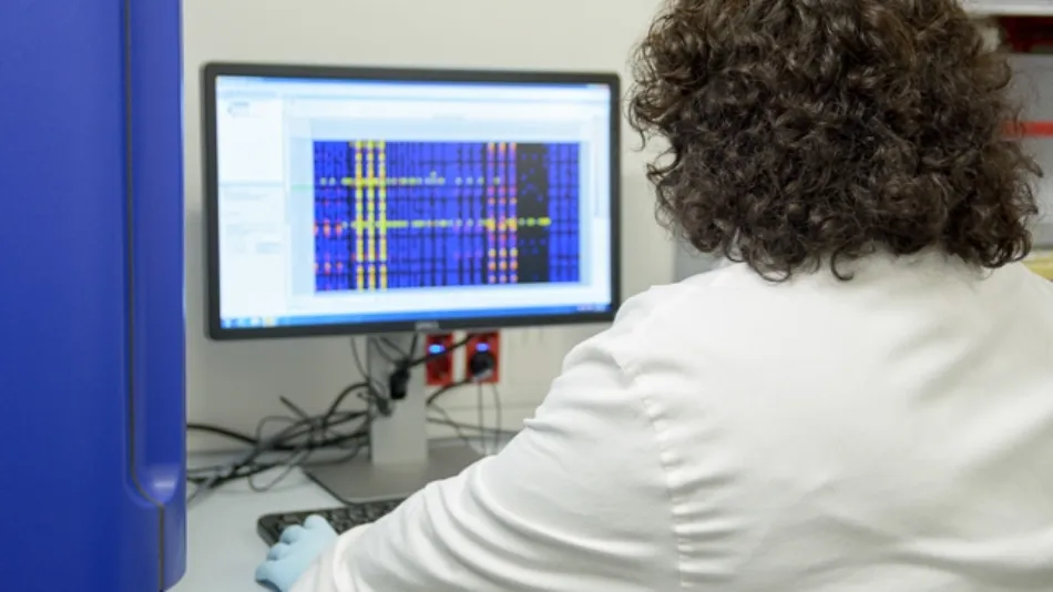 Esta clasificación se basa en las publicaciones de investigación de los profesores de la USAL para colocar a la institución entre la élite internacional