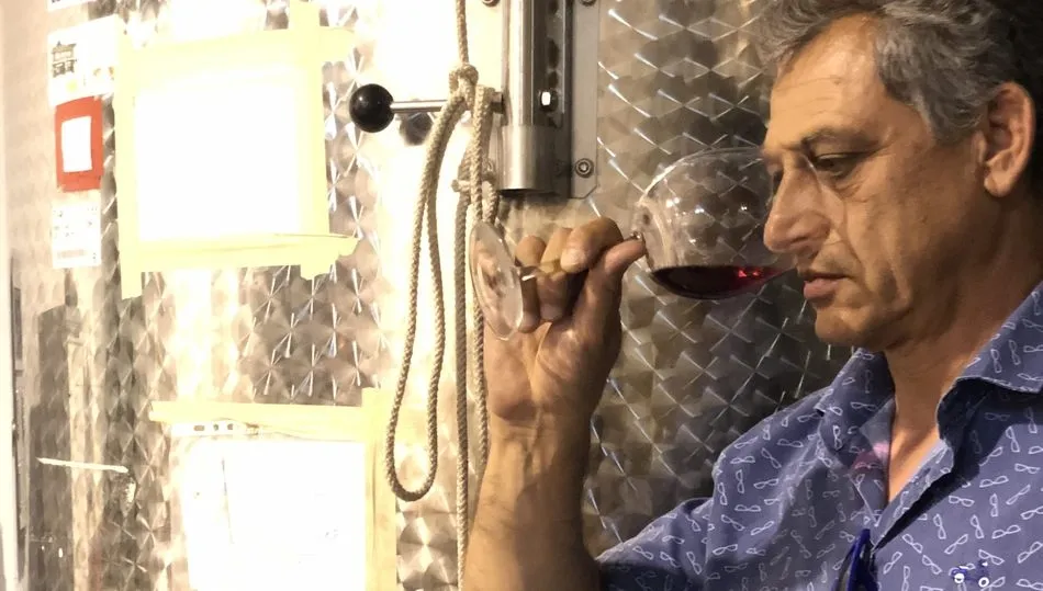 Carralasmayas Reserva 2012, el otro tesoro del valle de Esgueva  