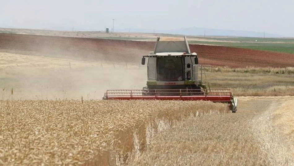 Bajada del trigo, la cebada y los lechones en la Lonja de Salamanca  
