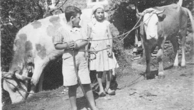 Villamayor y su ambiente rural en los 60