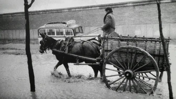 La avenida de los Maristas, antiguo Camino del Cementerio