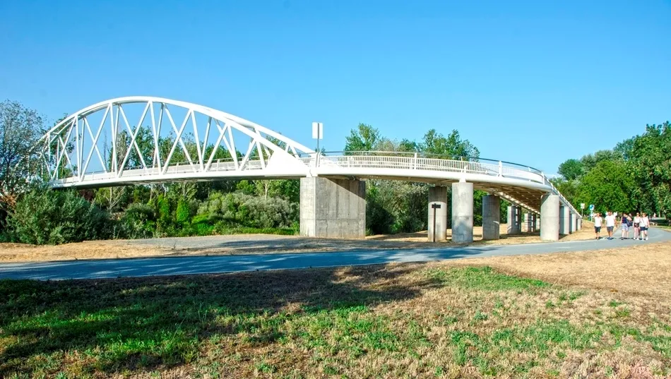 En busca de la sombra