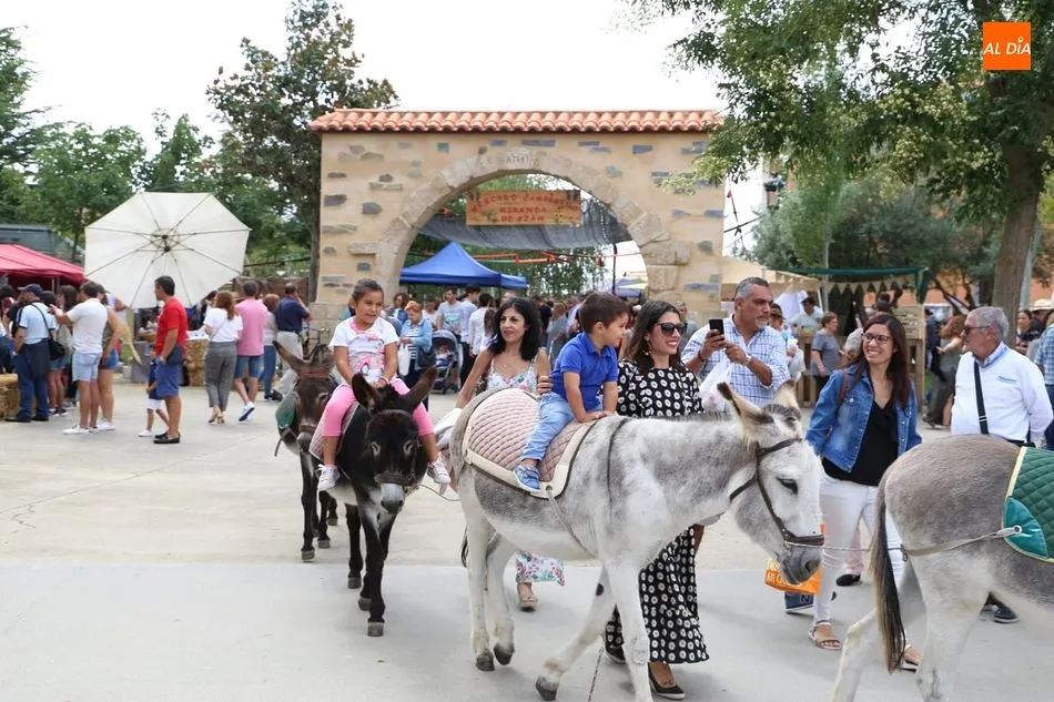 La oferta de actividades es muy variada, como los paseos en burro