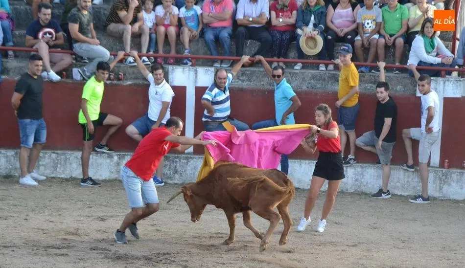 Una capea celebrada en la provincia de Salamanca