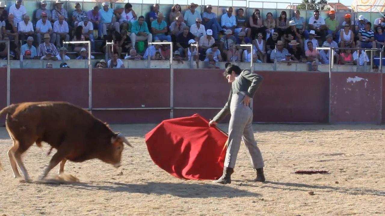 Un espectáculo taurino