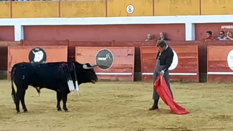La Plaza de Toros de Macotera celebraba su Festival Taurino este sábado