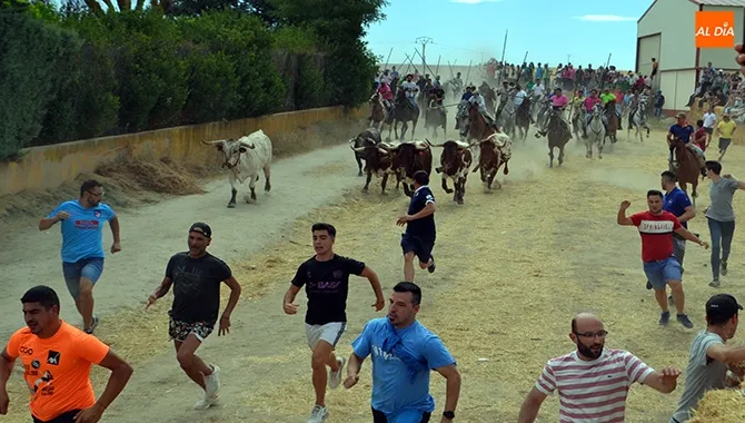 Cientos de personas participaban en el XIX Encierro a caballo de Macotera