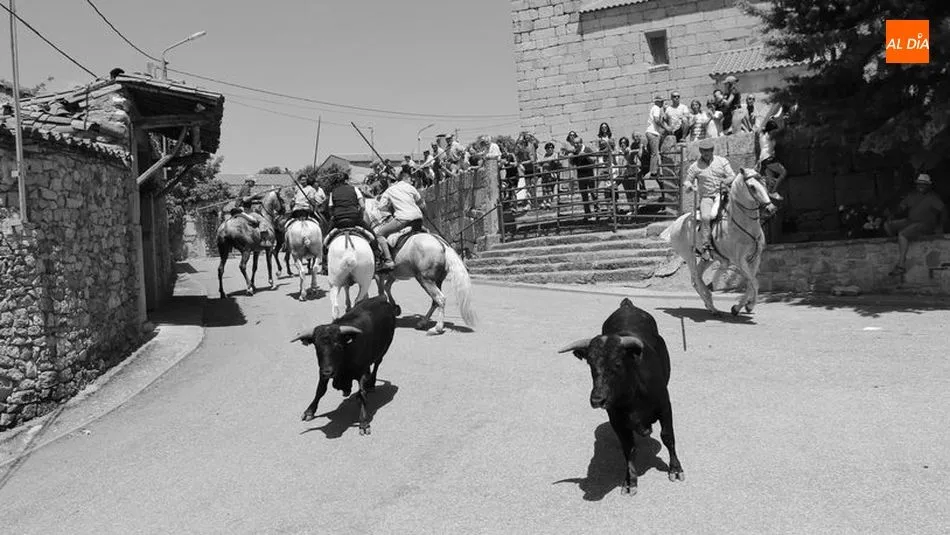 La muestra realiza un repaso a los momentos  más destacados de las fiestas de San Juan 2019