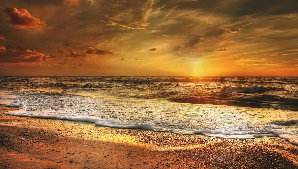 En la alfombra azul y verde se deslizan los veleros, las cometas, el verde viento que mece las palmeras...