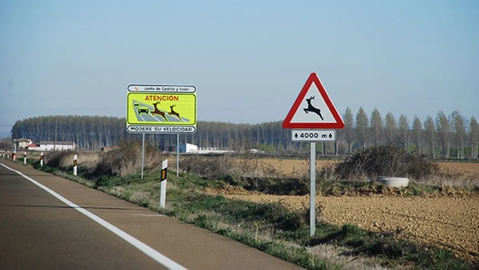 Señalización de zona con riesgo de presencia de animales sueltos.