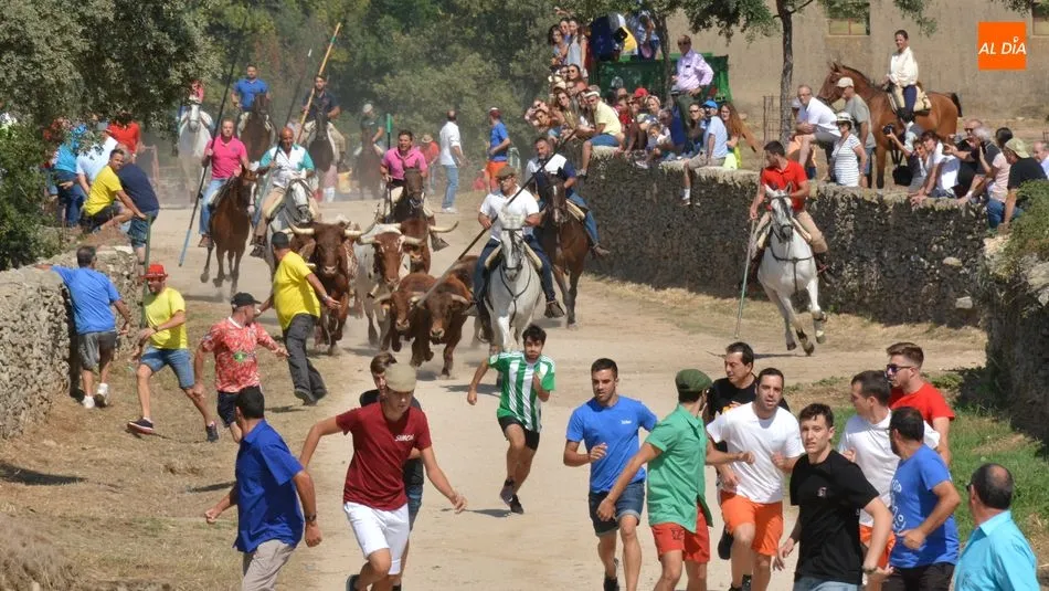La manada se mantuvo agrupada hasta la llegada a la zona de Las Cruces / CORREDERA