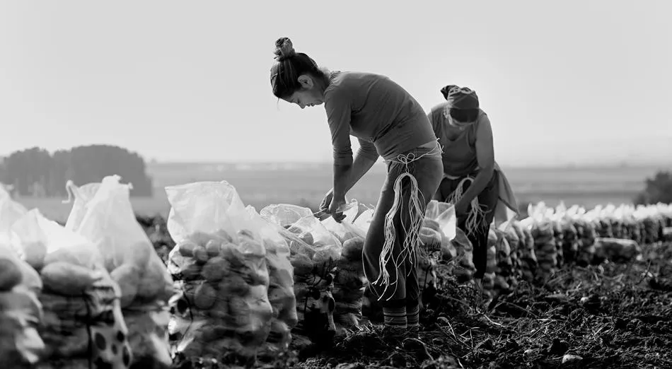 Luz de los alimentos