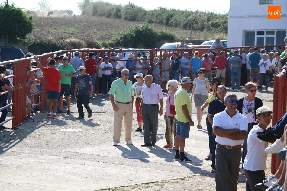 Vibrante primer encierro de Valrubio en Pereña de la Ribera con un 3x2  
