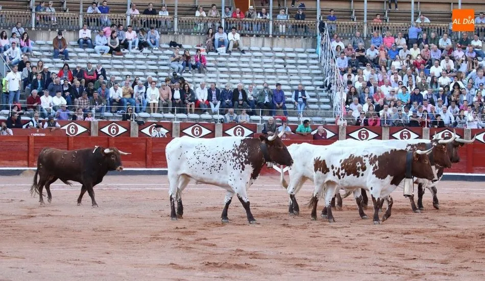 ¿Quién dijo que no hay quinto malo? Pues hasta tres hubo de parar Diosleguarde. Foto: Miguel Hernández