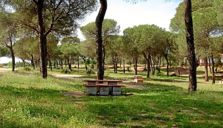 La obra consistirá en la construcción de una zona de barbacoas y merendero, así como la plantación de árboles