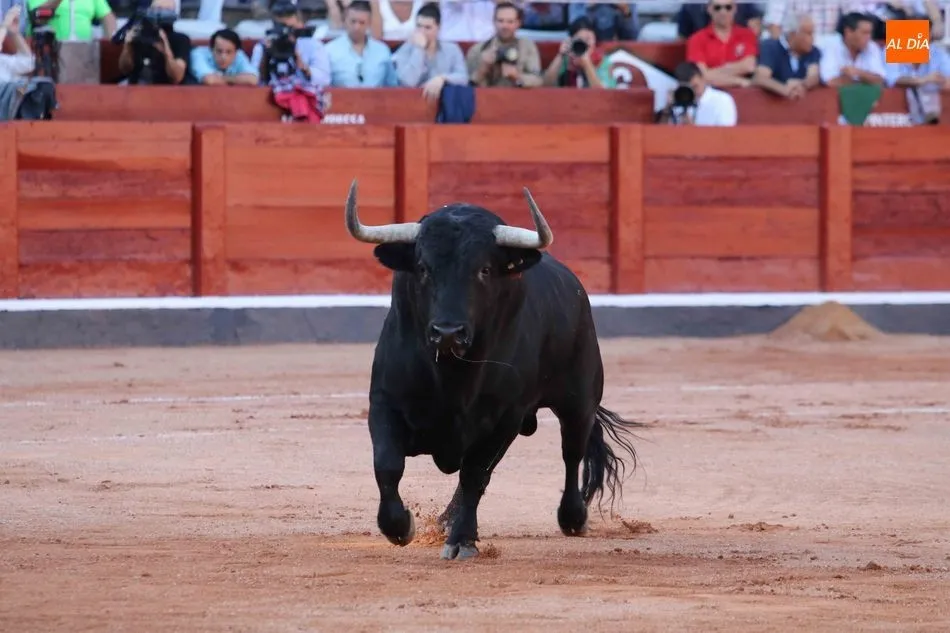 La corrida tuvo una presencia superior per le faltó sangre brava. Foto: Miguel Hernándezn