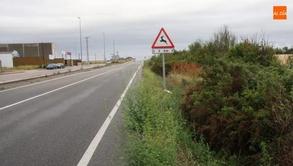 Un punto de la CL-517