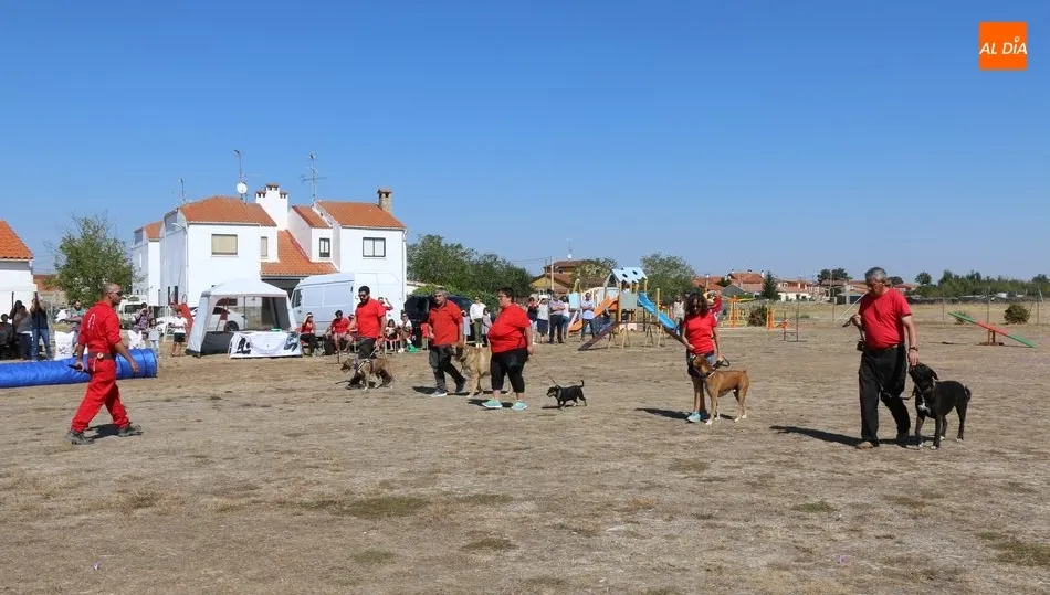 El público podrá presenciar ejercicios de adiestramiento básico canino