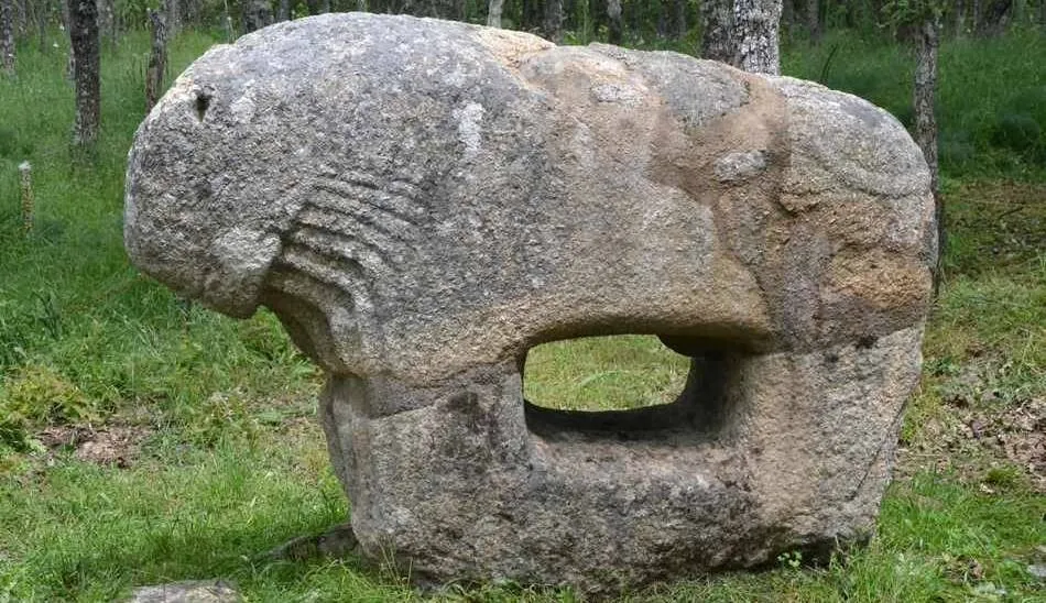 El yacimiento conocido como Castro de Irueña se sitúa junto al río Águeda, y es uno de los enclaves arqueológicos de la Edad del Hierro y época romana más destacados de la provincia