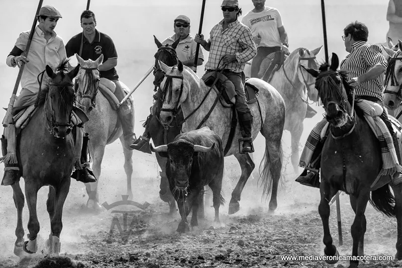 La fotografía Arropado ha sido la ganadora del VI Concurso de la Asociación Media Verónica de Macotera