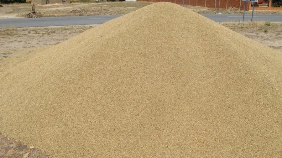 El trigo protagoniza una de las mayores subidas de la última sesión en la lonja de Salamanca