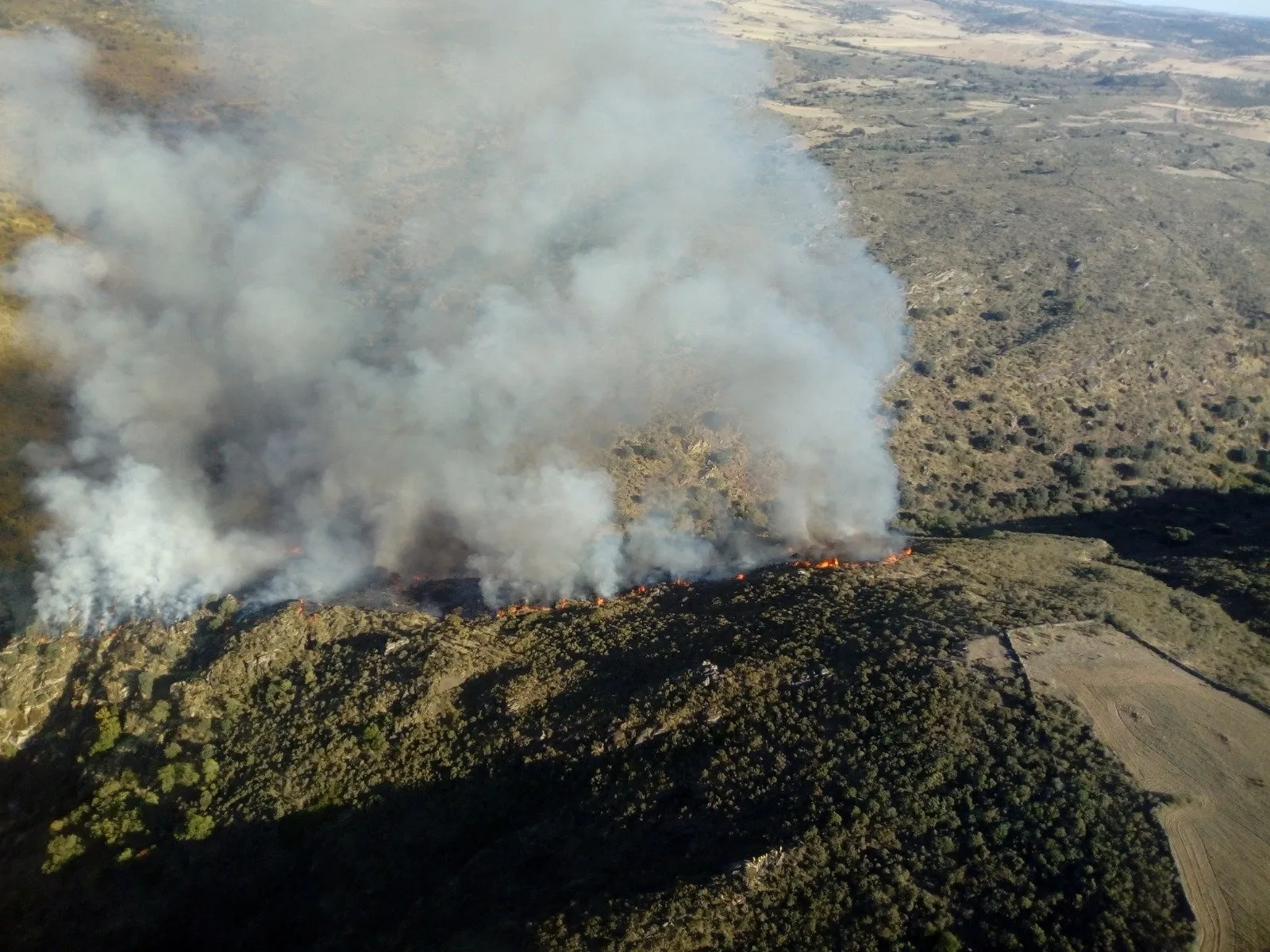 Imagen del incendio en torno a las 20:00 horas. Fotos: Junta de Castilla y León