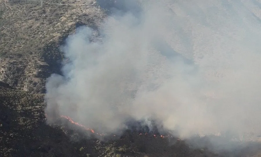 La Junta da por controlado el incendio de Hinojosa de Duero